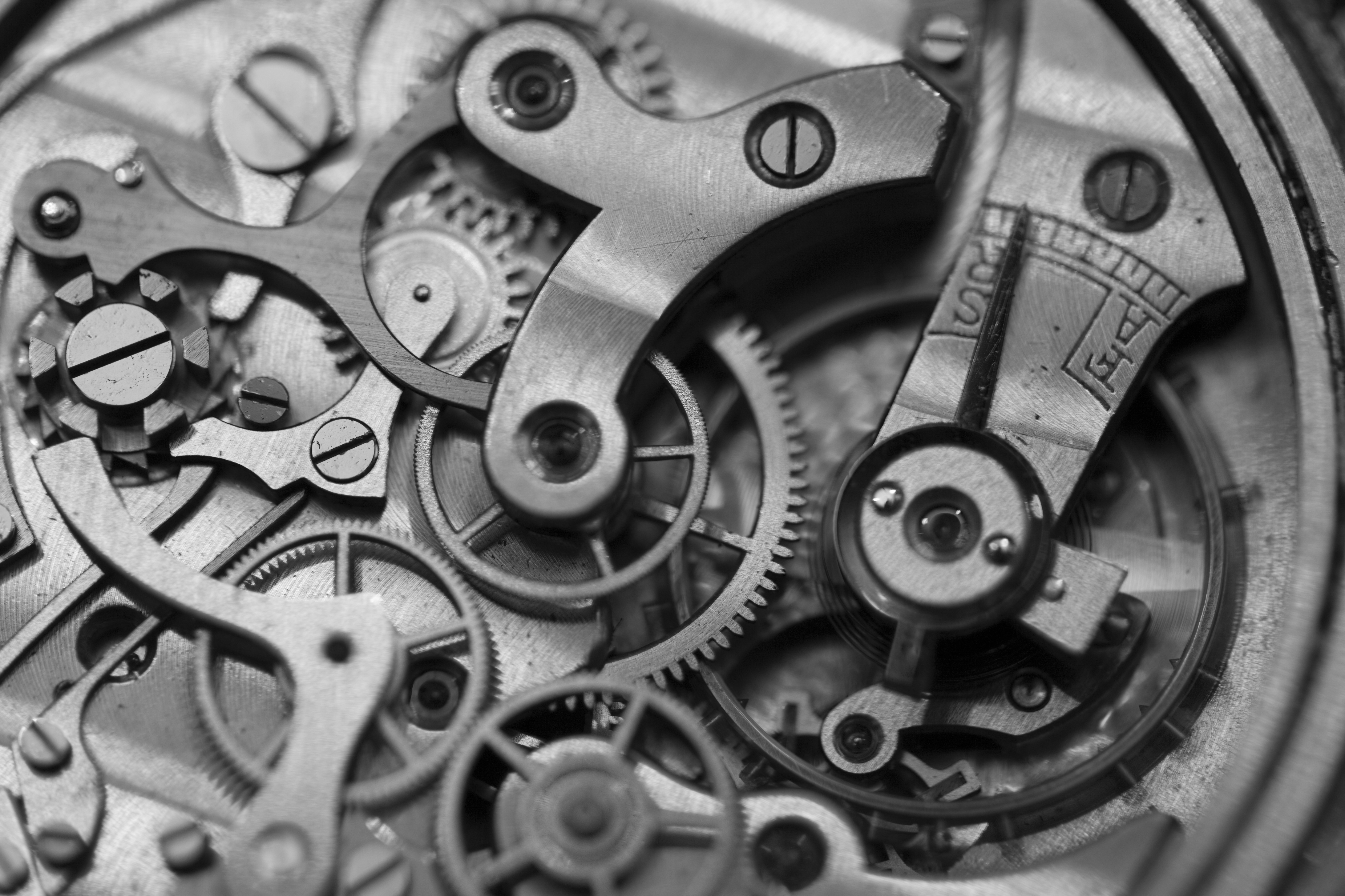 Employment and Compensation